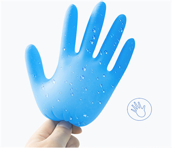 Disposable Vinyl Gloves