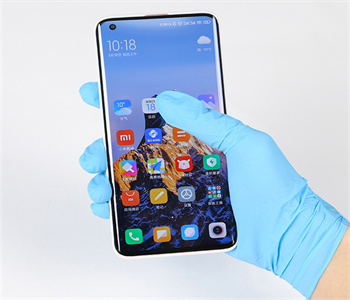 Disposable Vinyl Gloves