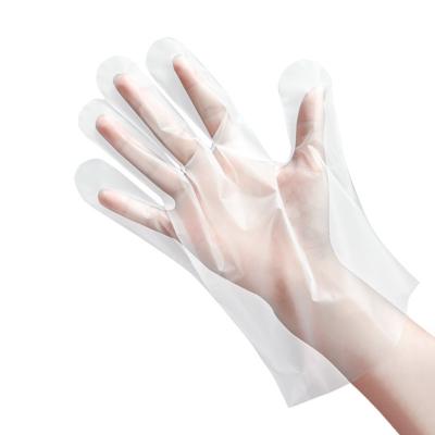 Disposable CPE Kitchen Gloves