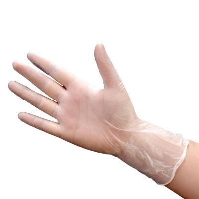 Transparent Disposable Vinyl Gloves
