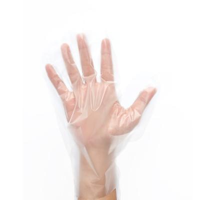 Disposable Plastic Household Gloves