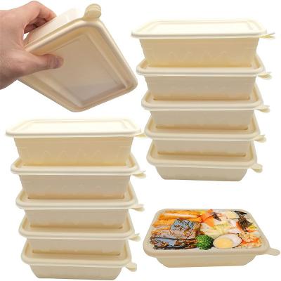 Disposable Lunch Box