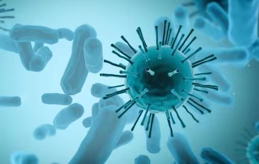 ZunyouWu : L'épidémie de variole du singe ne provoquera pas d'épidémie à grande échelle en Chine.